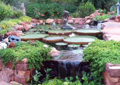 sedona-lily-pond